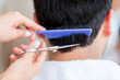 Stylist cutting man's hair