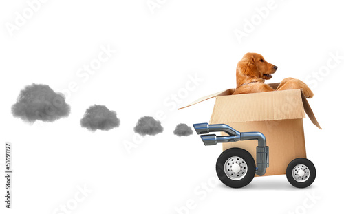 Photo: Fast delivery Fast delivery