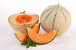 fresh melon