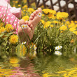 Photo: Kinderfüße in einer Blumenwiese Kinderfüße in einer Blumenwiese