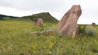 Video: Standing stones. Standing stones.