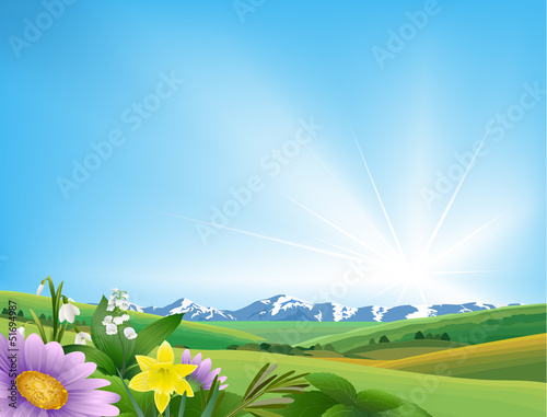 Vector: floral spring floral spring
