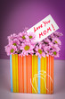 Gift for Mother's Day,Concept.
