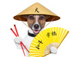 asian dog