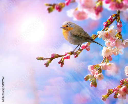  abstract Spring border background with pink blossom