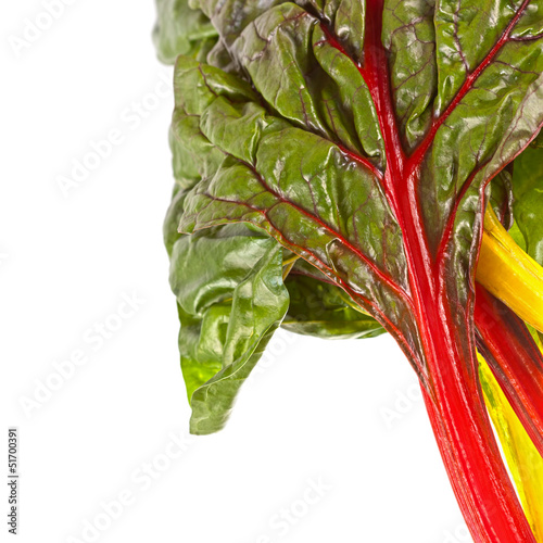 Photo: Rainbow chard Rainbow chard