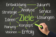 Ziele definieren