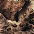 Abstract fractal background