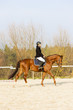 Photo: equestrian on horseback equestrian on horseback