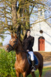 equestrian on horseback, Lomec, Czech Republic