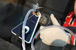 Mechanic repair damaged windshield with equipment