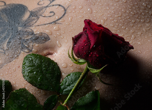 Photo: Rose auf dem Bauch einer Frau Rose auf dem Bauch einer Frau
