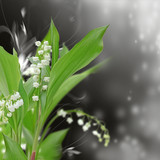 muguet