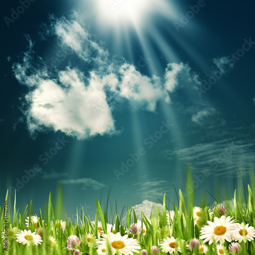 Photo: Beauty summer field. Abstract natural backgrounds Beauty summer field. Abstract natural backgrounds