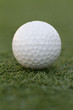 a golf ball centered on a putting green