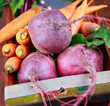 Still life of red beets and carrots, close-up
