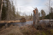 Stub in front of spring river, photographed with long exposure