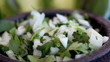 Mexican Cilantro Onions