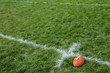 Photo: American Football on Natural Grass Turf American Football on Natural Grass Turf
