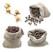 Burlap bags with tea and coffee isolated