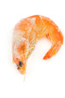 Frozen Shrimp