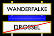 Wanderfalke vs Drossel konzeptionell_Internet - 3D