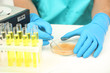 Assayer during research close-up