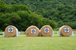 target archery in field