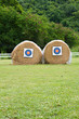 target archery in field