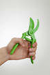 Grüne Gartenschere mit Hand