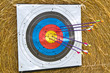 An archery target full of arrows