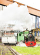 steam freight train, Kolubara, Serbia