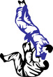judo fight