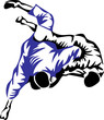 judo fight