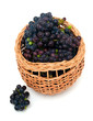 fresh grapes in basket