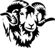 head of ram