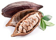 Cocoa pod