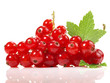Photo: Johannisbeeren - rot Johannisbeeren - rot