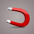 Magnet