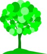 arbre