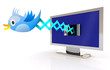 Blue Bird Cuckoo Tweets And Si...