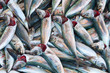 Fische auf dem Fischmarkt