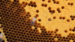 Honeycomb