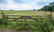 Locked and overgrown wooden gate beside railroad tracks