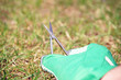 Lawn care with nail scissors