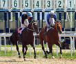 Horse racing.