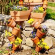 POTS DE FLEURS