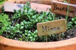 Foto: Garten Garten