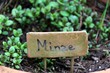 Foto: Garten Garten