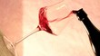 red wine glass